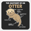 Suche nach niedlicher otter aufkleber Tiere