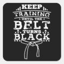 Suche nach aikido aufkleber Karate