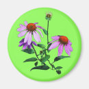 Suche nach sitzung magnete Blume