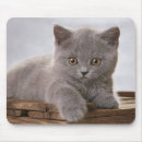 Suche nach friedlich mousepads Grau