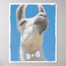 Suche nach niedliches lama poster Tiere