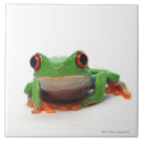 Suche nach reptilien fliesen Muscheln