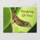 Suche nach reptil postkarten Gecko