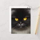 Suche nach persian cat postkarten Tier