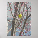 Suche nach kirschbaum poster Rosa