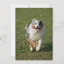 Suche nach laufender hund karten Lustig