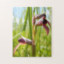 Suche nach orchid puzzle Foto