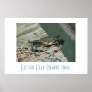 Suche nach blaue krabbe poster Natur