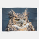Suche nach owl geschirr tücher Tier