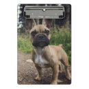 Suche nach bulldogge klemmbrett Haustier