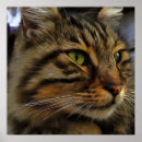 Suche nach tablette poster Katze