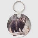 Suche nach braunbär schlüsselanhänger Tier