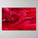 Suche nach gewellt poster Schön