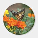 Suche nach orange blume magnete Für sie