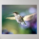 Suche nach wildnis poster Natur