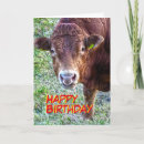 Suche nach bulle karten Für ihn