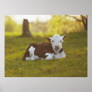 Suche nach ländliche szenen poster Fotografie
