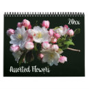 Suche nach verschieden kalender Blume