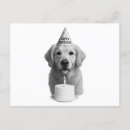 Suche nach birthday postkarten Für alle