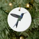 Suche nach fliegender vogel ornamente Kolibri
