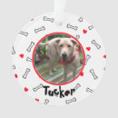 Suche nach knochen ornamente Für alle