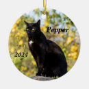 Suche nach schwarze katzen ornamente Kätzchen