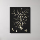 Suche nach korallenriff leinwandbilder Ozean