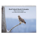 Suche nach schwanz kalender Tier