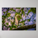 Suche nach baum blätter poster Bäume