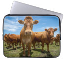 Suche nach cow laptop schutzhüllen Vieh
