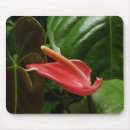 Suche nach calla mousepads Natur