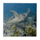 Suche nach indonesisch fliesen Grenze danita