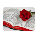 Suche nach vernetzung magnete Internet