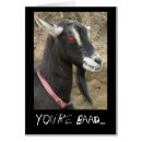 Suche nach weiße ziege karten Für alle