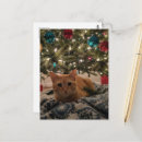 Suche nach roter kater postkarten Weihnachten