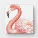 Suche nach flamingo fotoplatten Vögel