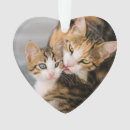 Suche nach katzen ornamente Für kinder