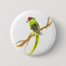 Suche nach aquarellmalerei buttons Vogelvogel