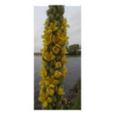 Suche nach mit blumen werbekarten Jede person