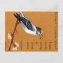 Suche nach spottdrossel postkarten Vogelbeobachtung