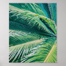 Suche nach palm trees poster Modern