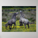Suche nach bock poster Superstock