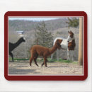 Suche nach maler mousepads Jede person