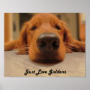 Suche nach nose art poster Hund