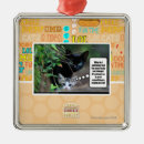 Suche nach sache ornamente Ich kann habe cheezburger