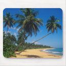 Suche nach palme mousepads Strand