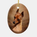Suche nach zwergpinscher ornamente Miniatur