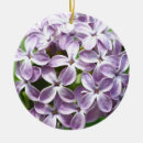 Suche nach flieder ornamente Blumen