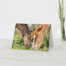 Suche nach pferdefamilie postkarten Weiden