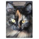 Suche nach wütend klemmbrett Katze